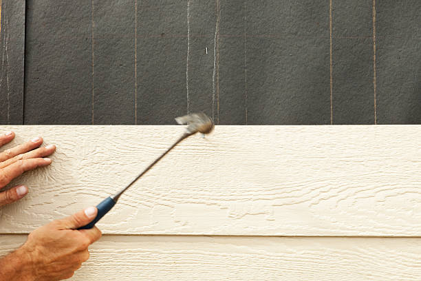 Best Weatherproofing and Sealing  in Morton, MS